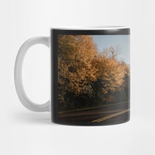 Mountain Fall Foliage Mug